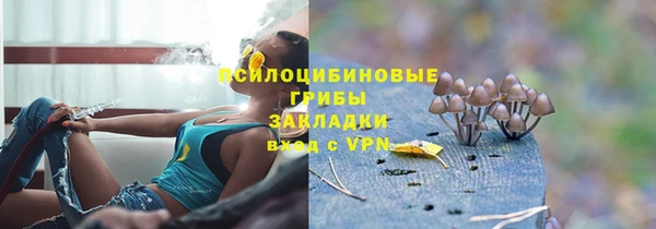 spice Алексин