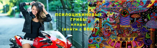 spice Алексин