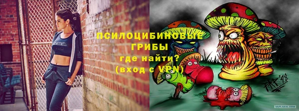 соль ск Абаза
