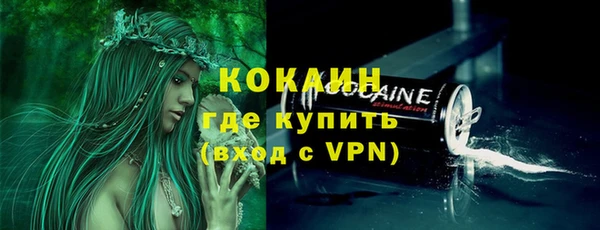 соль ск Абаза